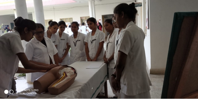 MedicalSurgicalNursing